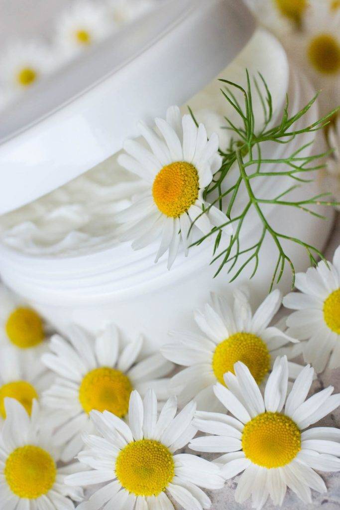 herbal healing creme – camomile