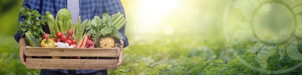 Frischer Korb mit Gemüse im Garten