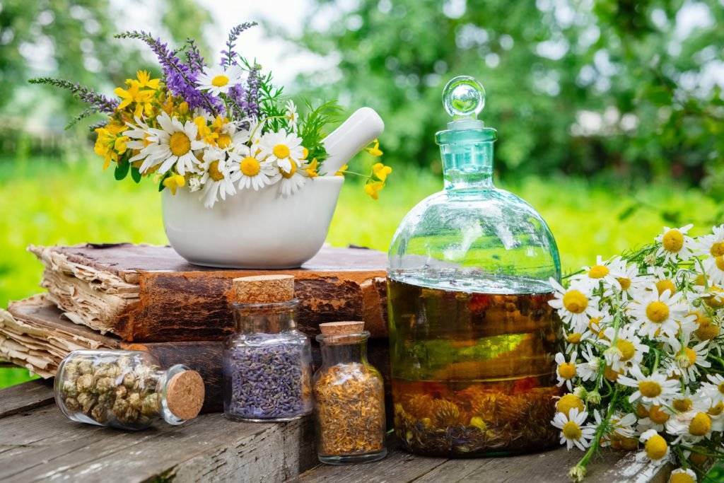 Mortar of healing herbs, bottles of healthy essential oil or infusion and dry medicinal herbs, old books and bunch of chamomile plant. Herbal medicine.